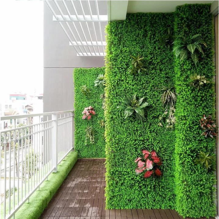 Thảm cỏ treo tường TAI CHUỘT 40x60cm