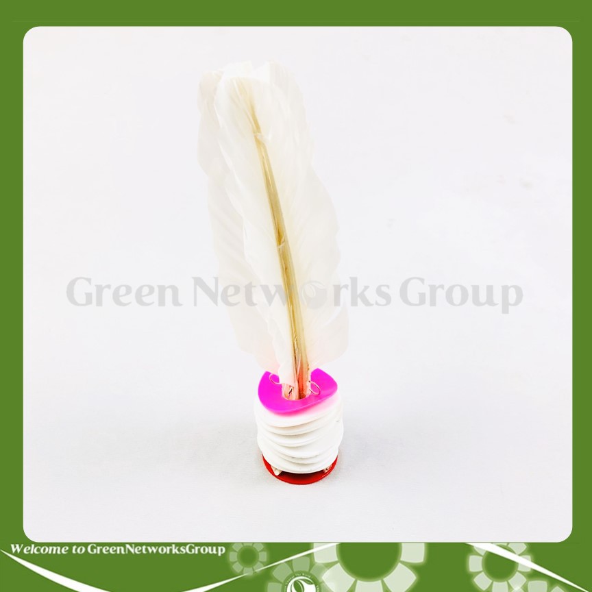 Cầu đá lông gà tuyển Cá sấu trắng HT Greennetworks