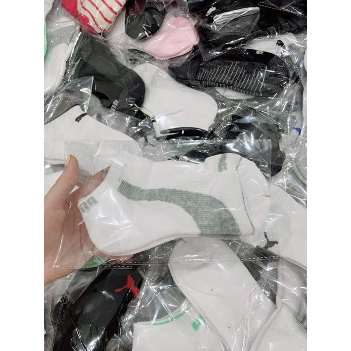 Tất PUMA xuất xịn giá siêu shock