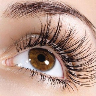 [CHÍNH HÃNG GIÁ RẺ] BẤM MI CÁN ĐEN VACOSI MODERN LASH CURLER