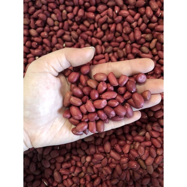 Lạc bóc tay Điện Biên