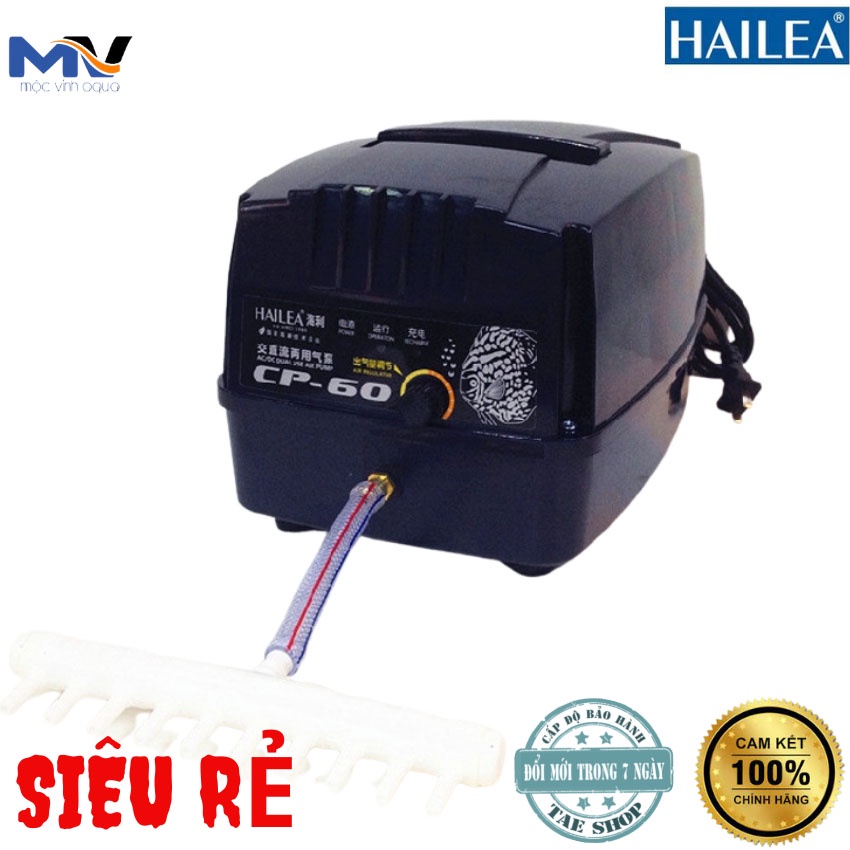 Máy sủi oxy tích điện hồ cá Hailea CP-60, lưu lượng 60L/h, Pin 24h, công suất 80W