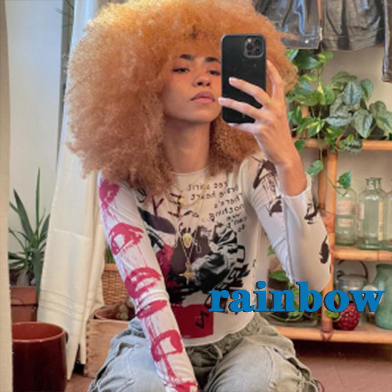 RAINBOW-Y2K E-girl Graphic Print Mesh Crop Top Harajuku Grunge Long Sleeve See Through Tees Gothic Mall Goth Crop Top