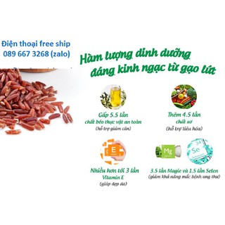 Gạo lứt đỏ hữu cơ cao cấp/ECOBA Huyết Rồng 1kg