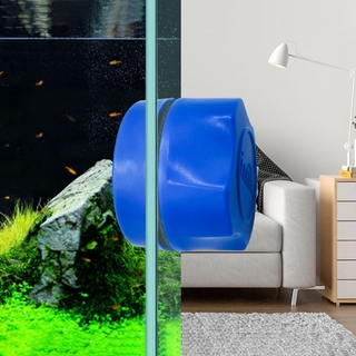 Nam châm vệ sinh bể cá