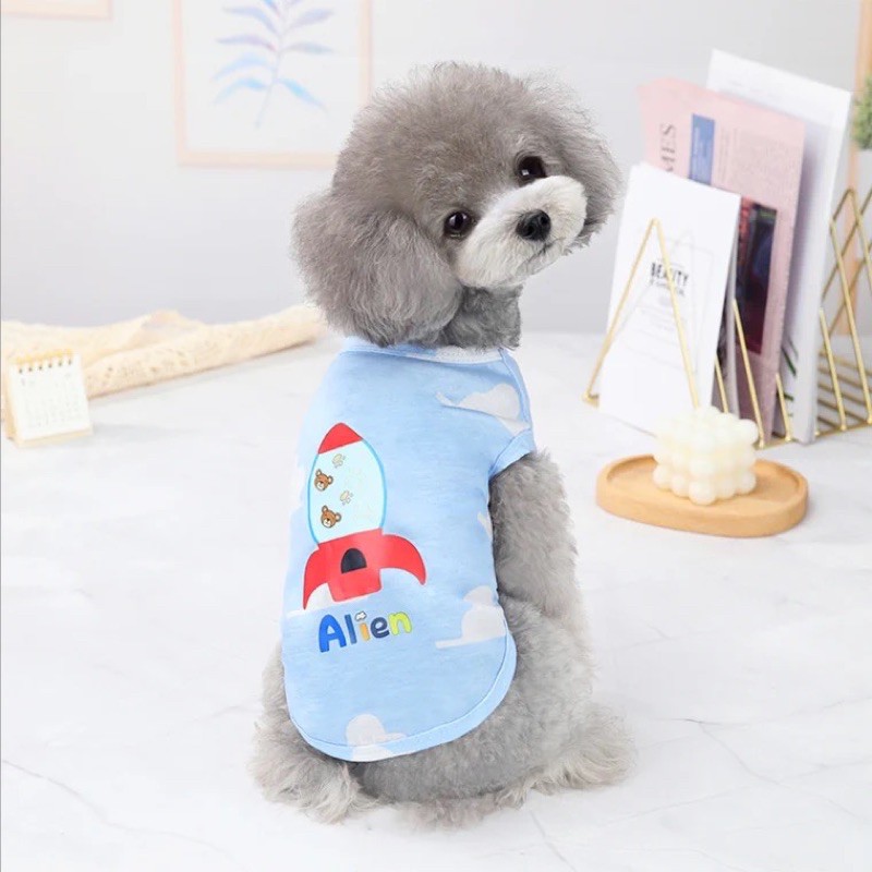 áo hỏa tiễn và mr. khoai tây cho chó mèo