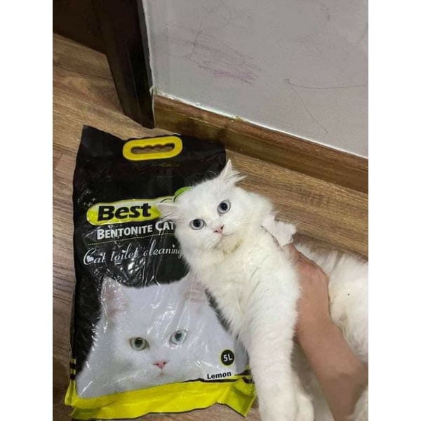 Cát Best clean siêu thấm hút 8l và 15l