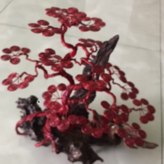 Bon sai kẽm handmade thêm chậu