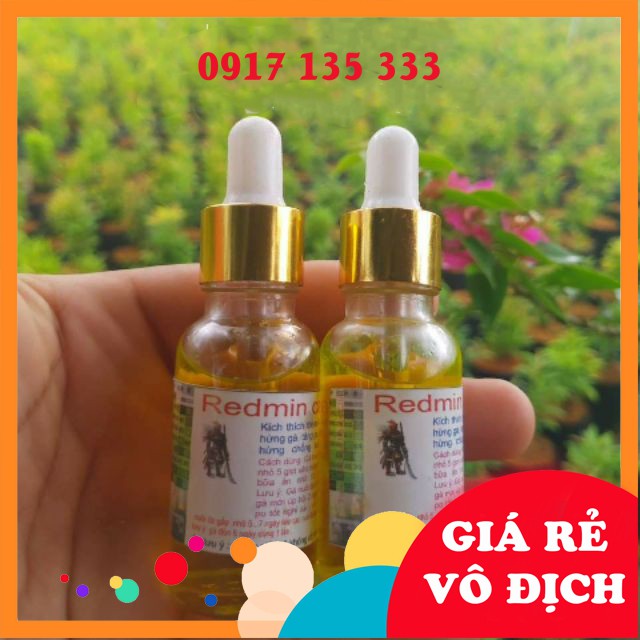 Nuôi Gà Đá Redmin Xanh