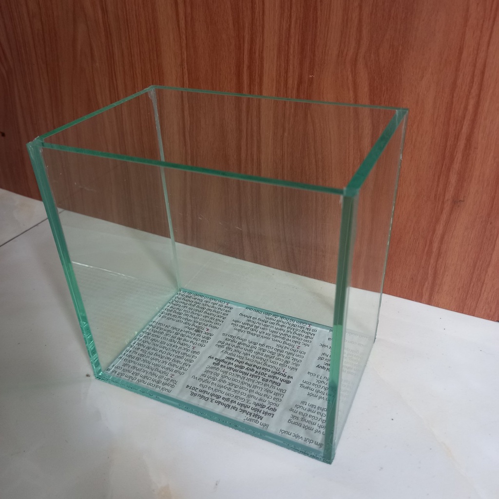 Bể Cá Betta, Guppy
