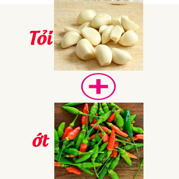 Tương Ơt Cay Lào Cai: Sản Phẩm An Toàn Không Chất Bảo Quản, Giúp Mọi Món Ăn Ngon Hơn Thơm Hơn Hấp Dẫn Hơn | BigBuy360 - bigbuy360.vn