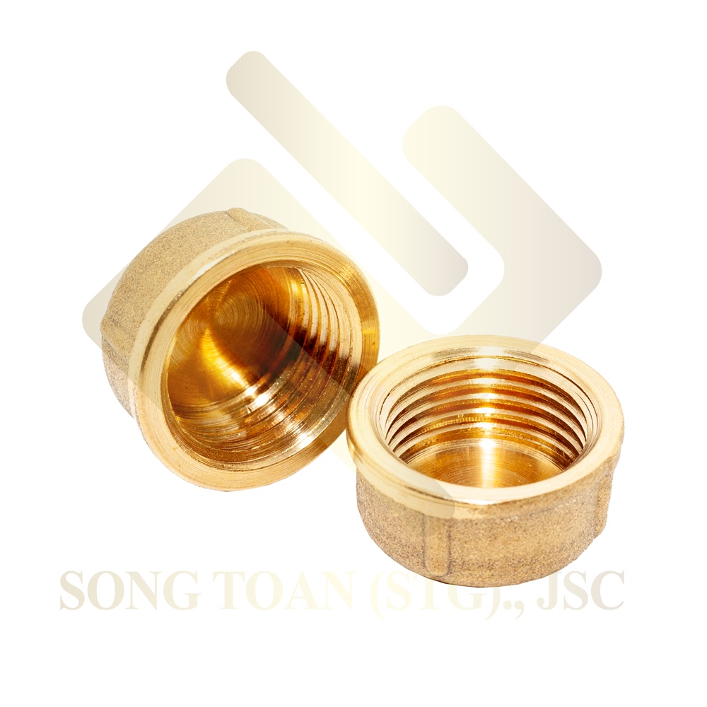 [BỊT REN 21 &amp; 27] Nút đầu bịt ren trong ngặn chặn dòng chảy &amp; khí nén ren BSP - Đồng đúc (Brass pipe plug cap female)