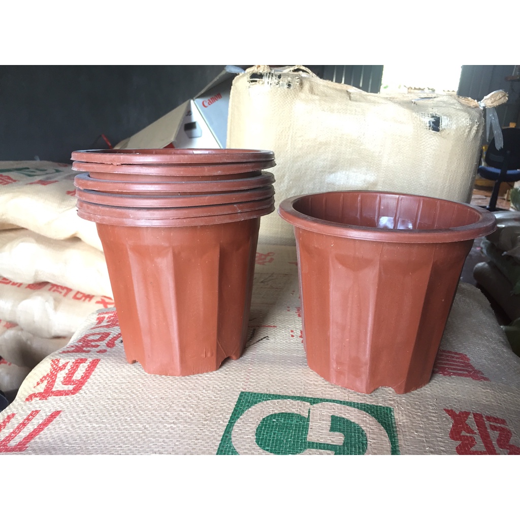 15 CHẬU NHỰA TRỒNG CÂY MÃ #E250 (BẠT PHỦ ĐẤT CHỐNG CỎ MỌC, BẦU KHAY TÚI ƯƠM...)