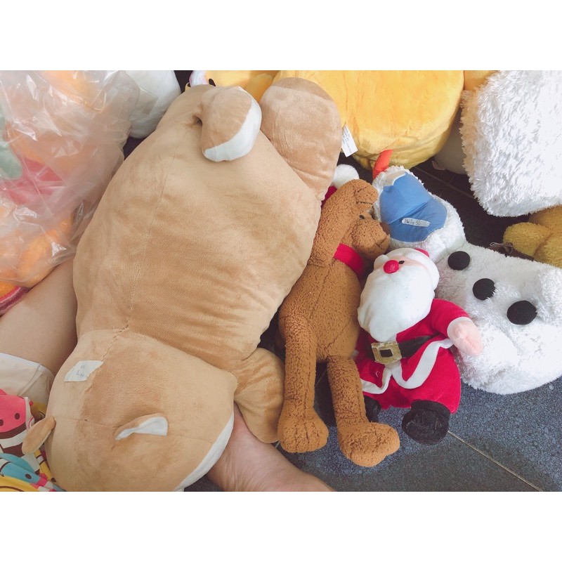 gấu bông của naly