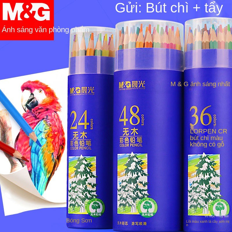 Chenguang Bút chì màu có thể tẩy xóa được Tranh sơn dầu chuyên nghiệp Bộ dành cho trẻ em Học sinh