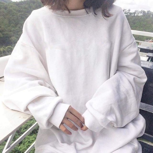 Sweater basic / chất nỉ bông có 4 size