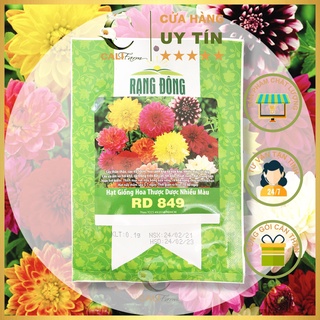Hạt Giống Hoa Cúc Thược Dược Nhiều Màu Rado 849 Gói 0,1Gr