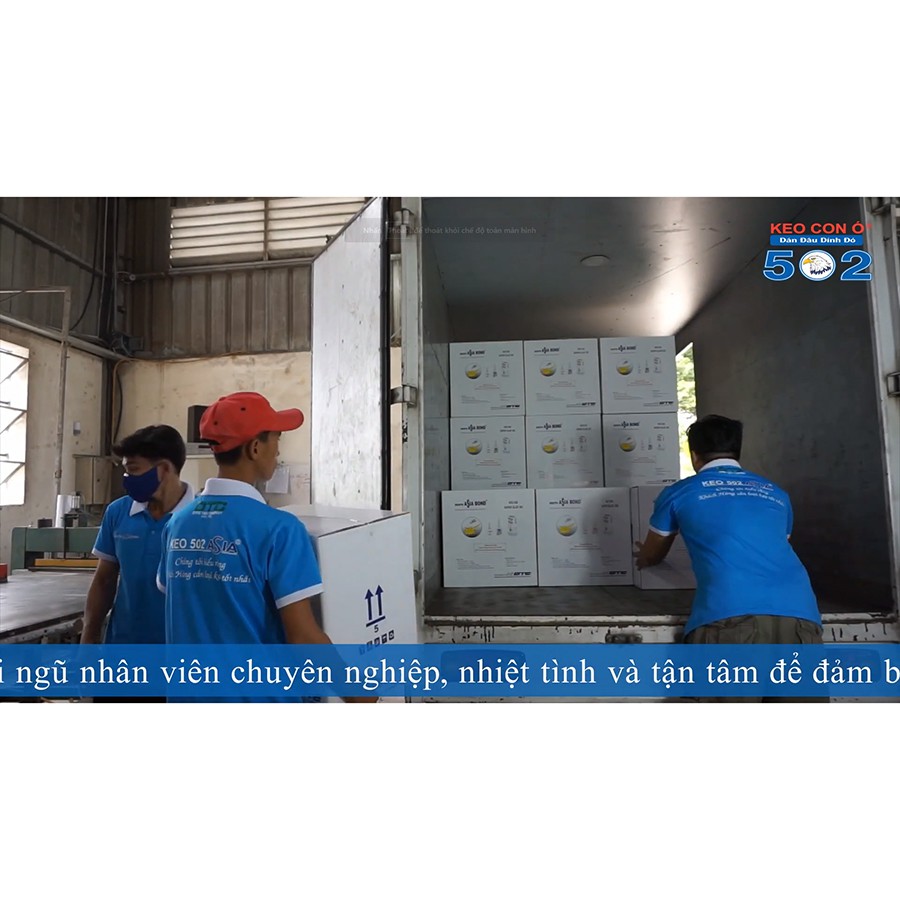Keo 502 Asia Con Ó chất lượng cao Hàng xuất khẩu
