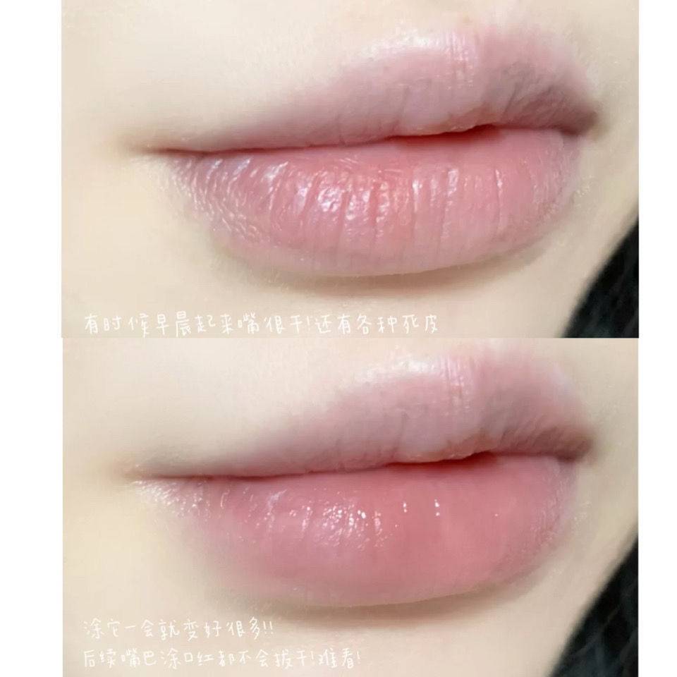 (hàng Mới Về) Son Dưỡng Ẩm Môi Chiết Xuất Sữa Hạt Mỡ Savior Shea | BigBuy360 - bigbuy360.vn