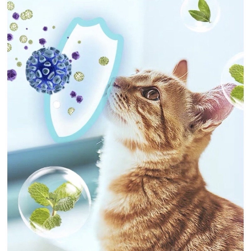 Bọt Tắm Khô Cho Chó Mèo Thảo Dược An Toàn, Dưỡng Lông Sạch Da Cho Chó Mèo 200ml SHIBAD