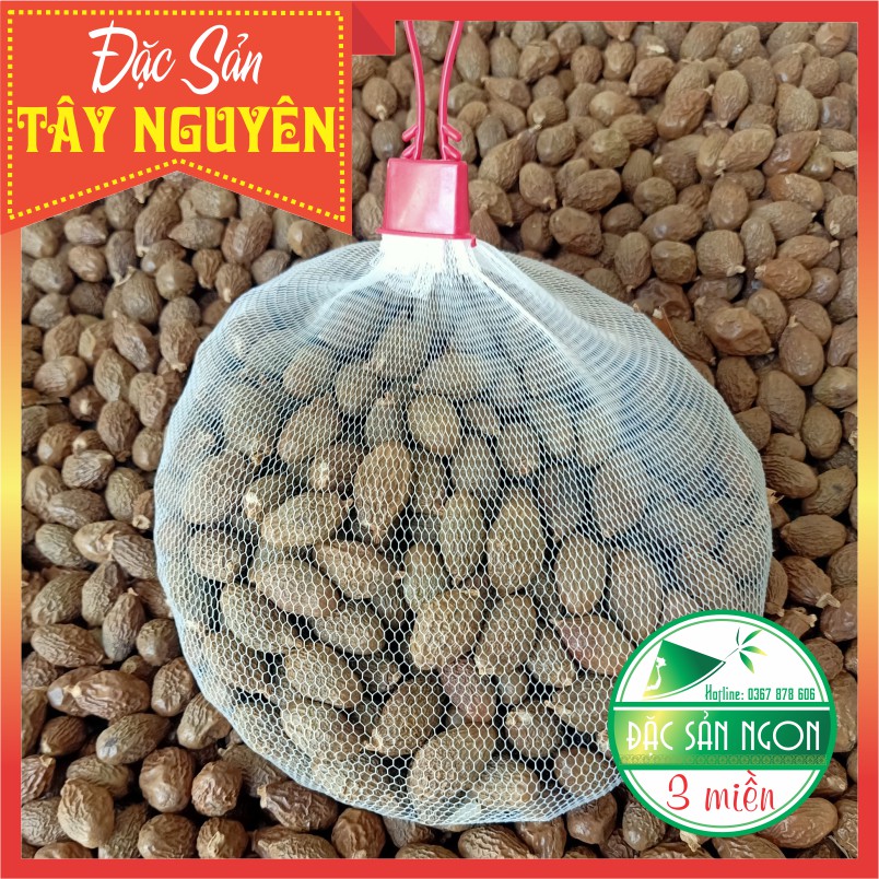 500gr Hạt Đười Ươi Rừng Bay Loại Trung | BigBuy360 - bigbuy360.vn