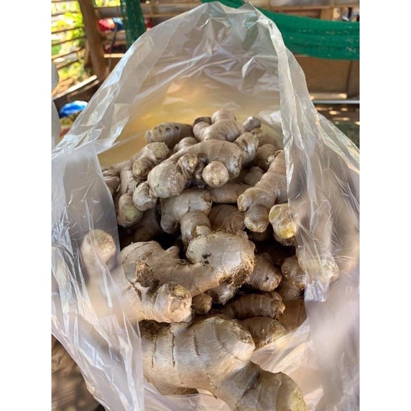 Gừng khô Thái lát 100g Hàng chuẩn sấy khô hàng sạch