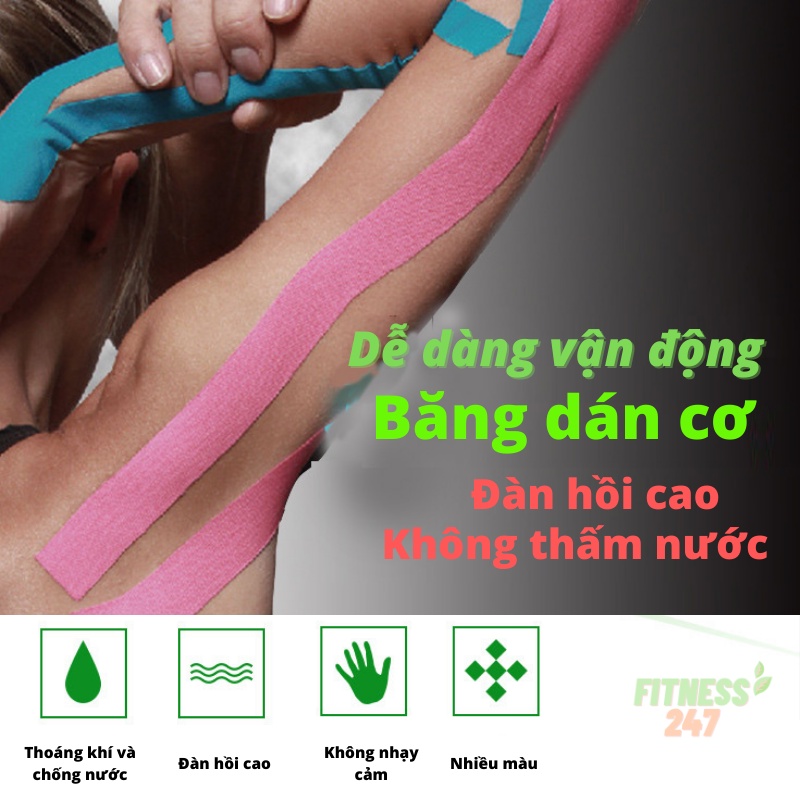 Băng Keo Thể Thao Kinesiology Chống Căng Cơ Cổ Chân Đầu Gối Băng Dán Cơ Chống Nước Hỗ Trợ Hồi Phục Cơ Khớp