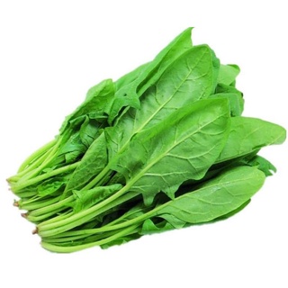 Cải bó xôi Đà Lạt tươi
