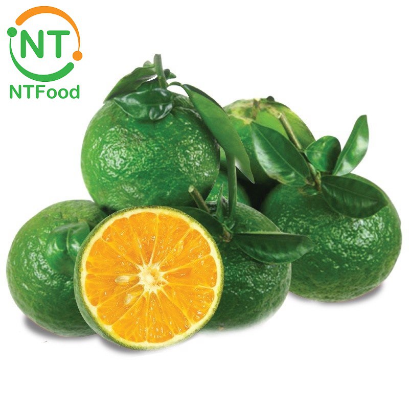 [HCM] Cam Sành Miền Tây mọng nước NTFood - Nhất Tín Food