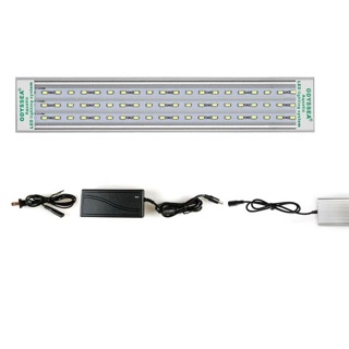 Đèn led Slim X Bể cá