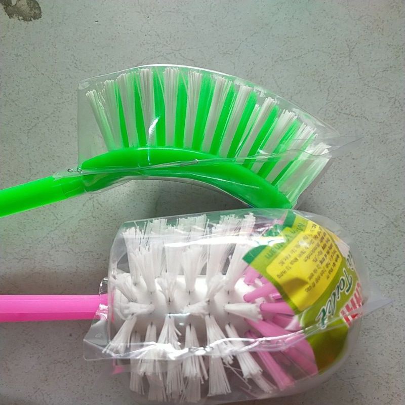 Cây trà cầu cong,tròn