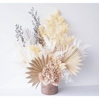 Lá cọ khô <3 CAM KẾT Y HÌNH <3 hoa khô trang trí