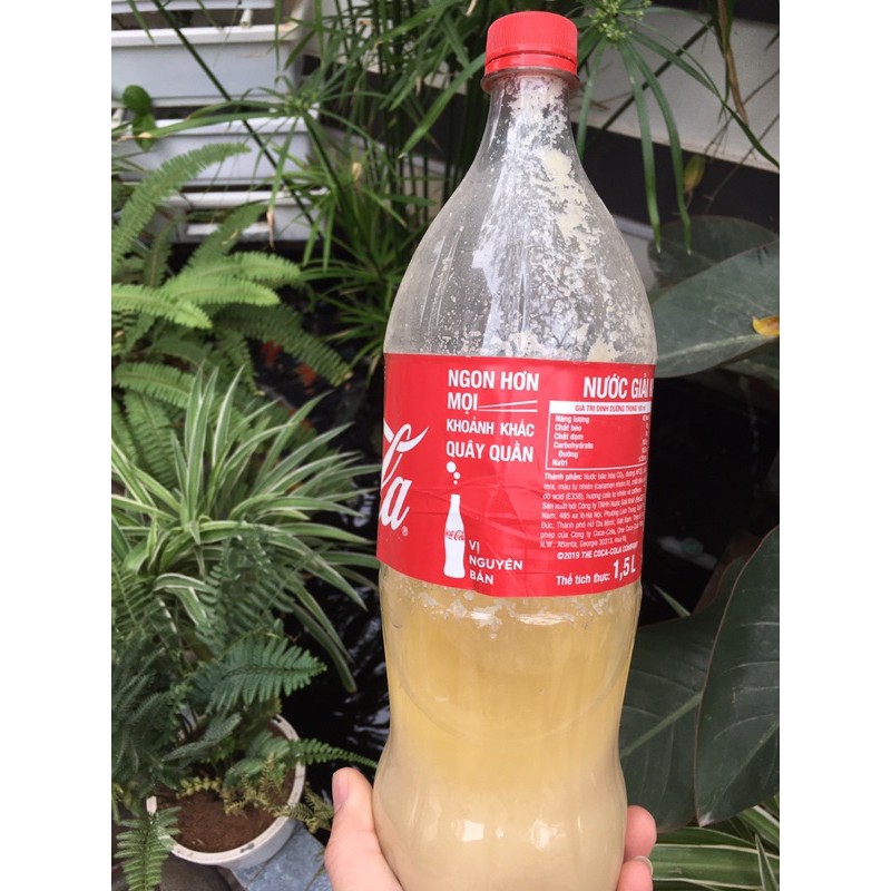 Vi sinh Tỏi cho cá- Chế phẩm EM tỏi kháng sinh tự nhiê