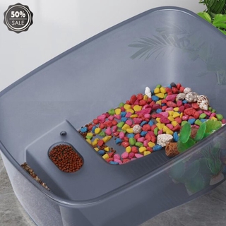Bể Nuôi Rùa Đồ Chơi Thú Vị