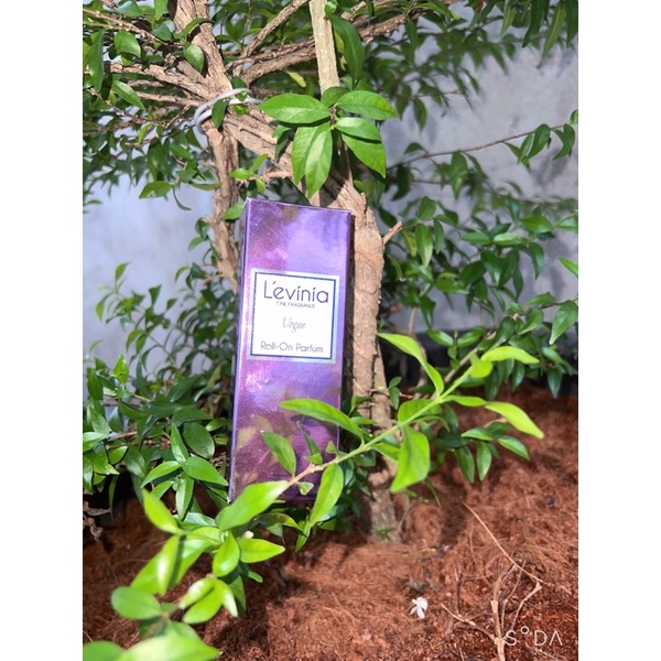Nước hoa lăn cao cấp L’evinia 9ml