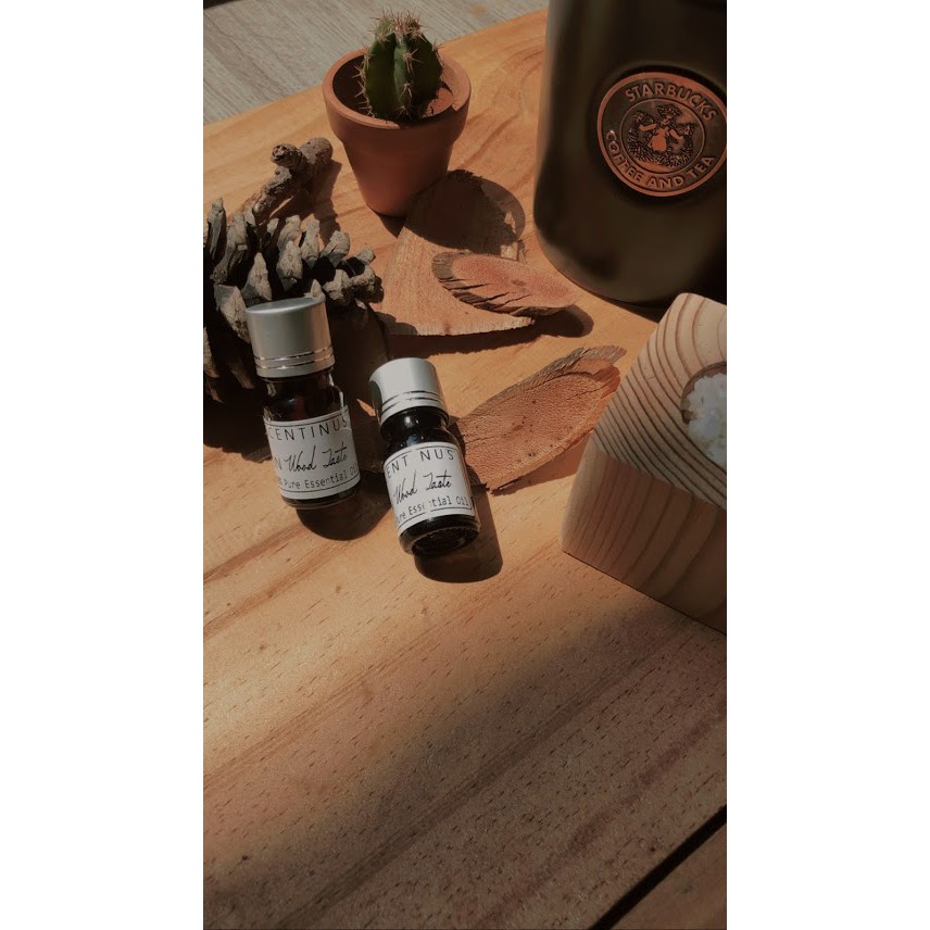 Tinh dầu IN WOOD TASTE 5ml - 10ml