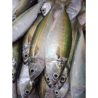 Cá Bạc Má Tươi,1kg[Ship hỏa tốc Hà Nội]