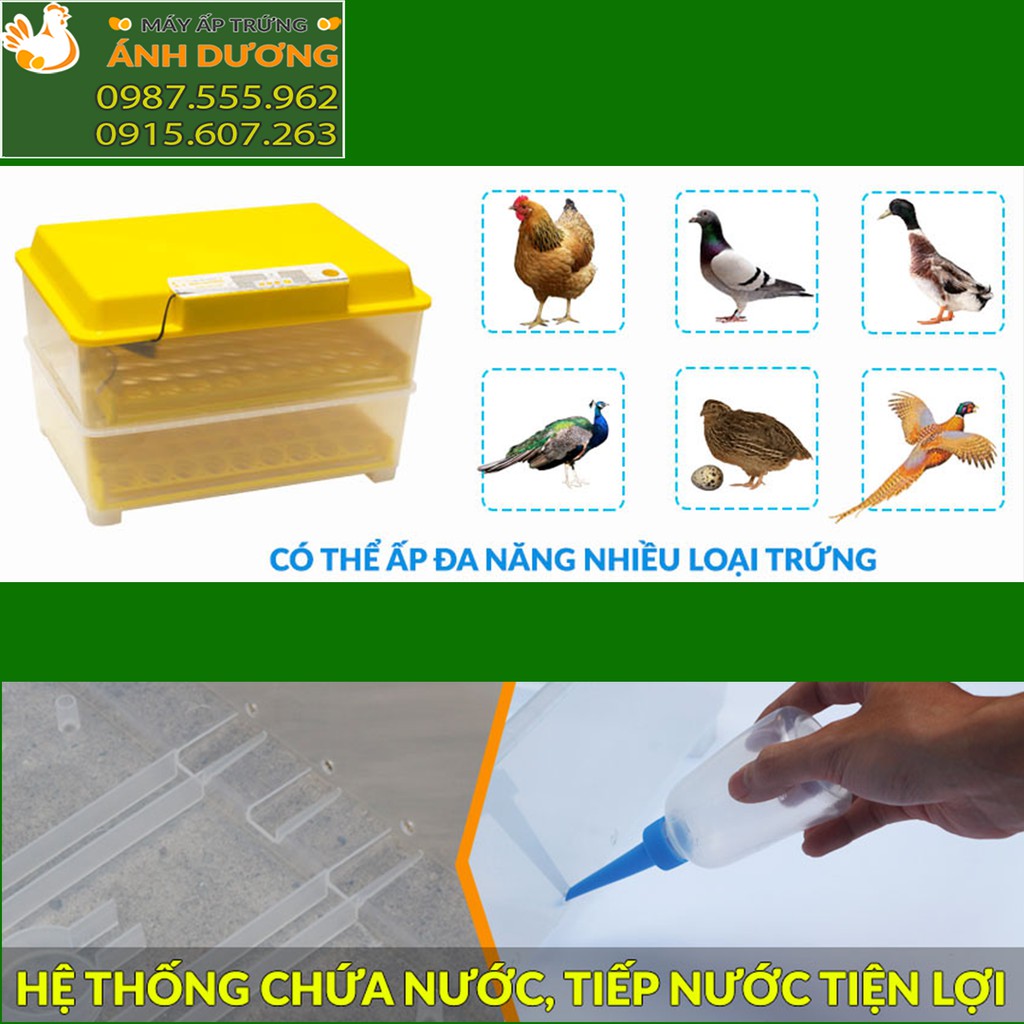 [ Hàng Chính Hãng ] Máy ấp trứng Ánh Dương A100 - Ấp tự động 54 trứng