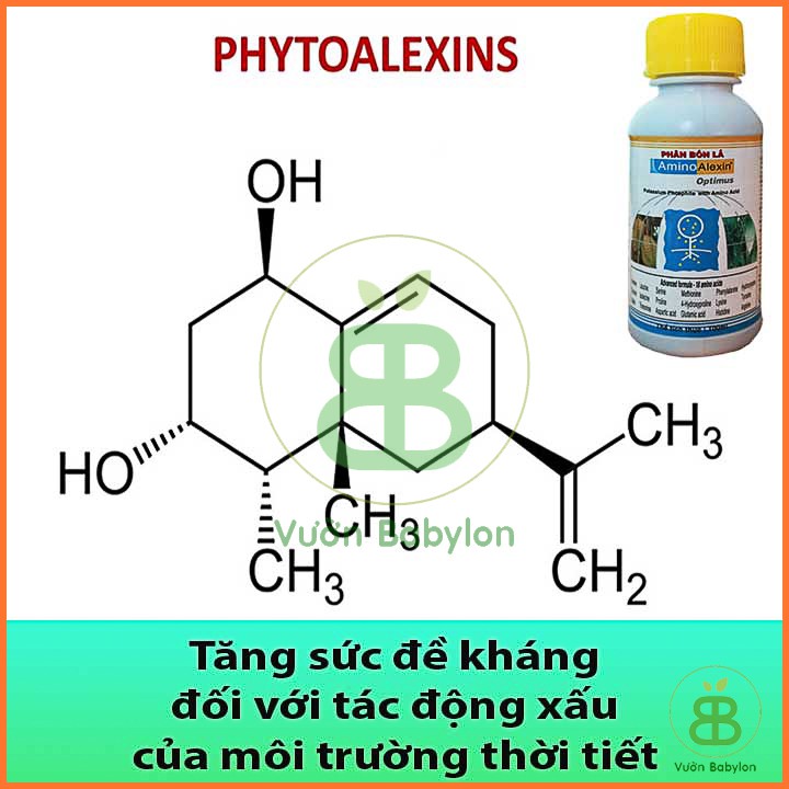 Amino alexin - Phân Bón Lá Bổ Sung Các Loại Axit amine Tạo Mầm Hoa, Chống Thối Trái Cho Cây 100ml