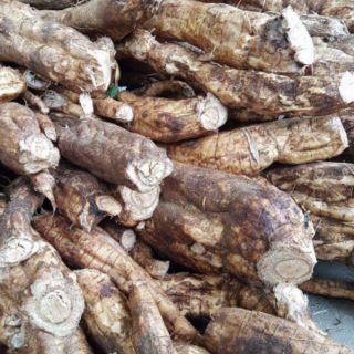 BỘT SẮN DÂY NGUYÊN CHẤT 1KG