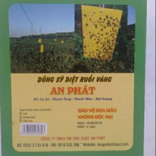Combo 10 miếng dán ruồi vàng cho rau màu và cây ăn trái