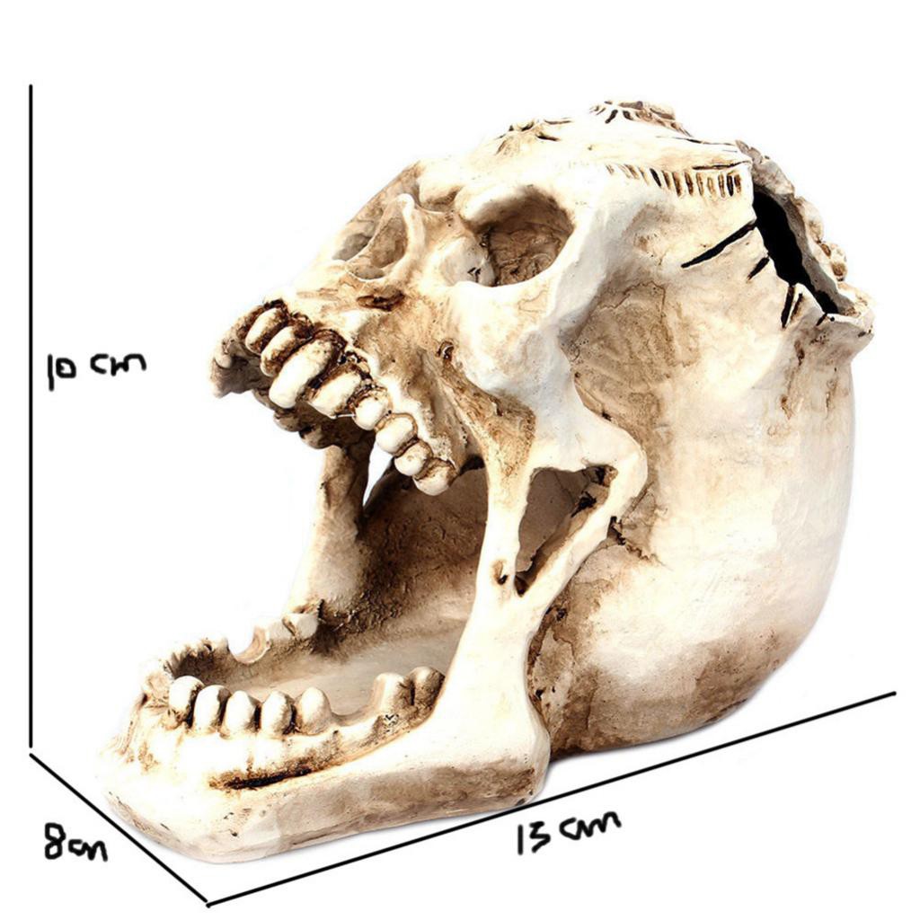 1 Hộp Đựng Bút Bằng Nhựa Hình Đầu Lâu Sáng Tạo Trang Trí Văn Phòng