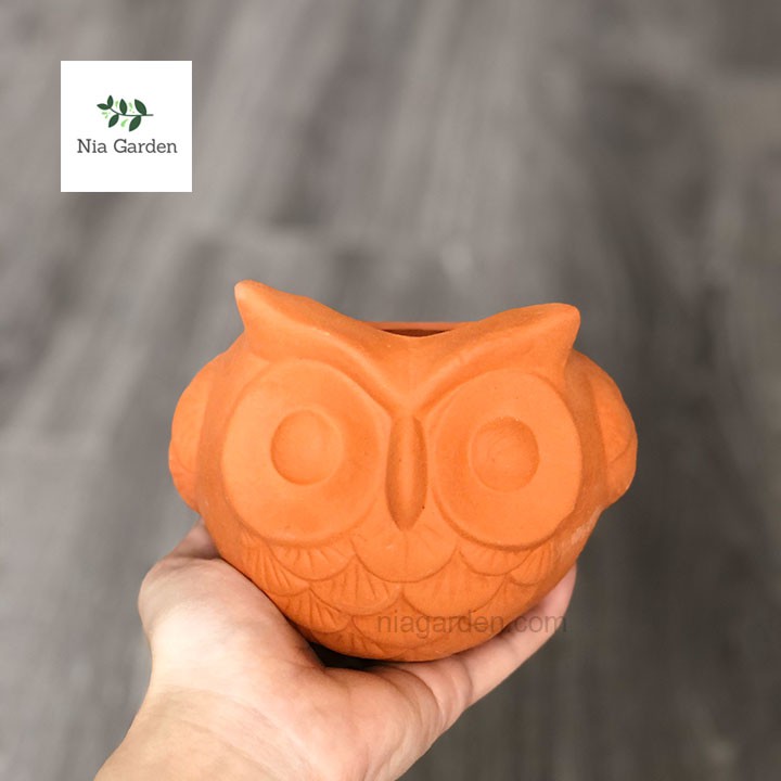 Chậu cú mèo đất nung trồng sen đá xương rồng mini cú banh tròn Nia Garden N4