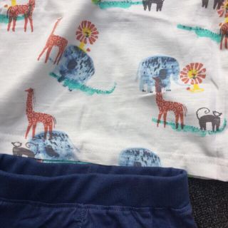 Set bộ bé trai zara hình thú