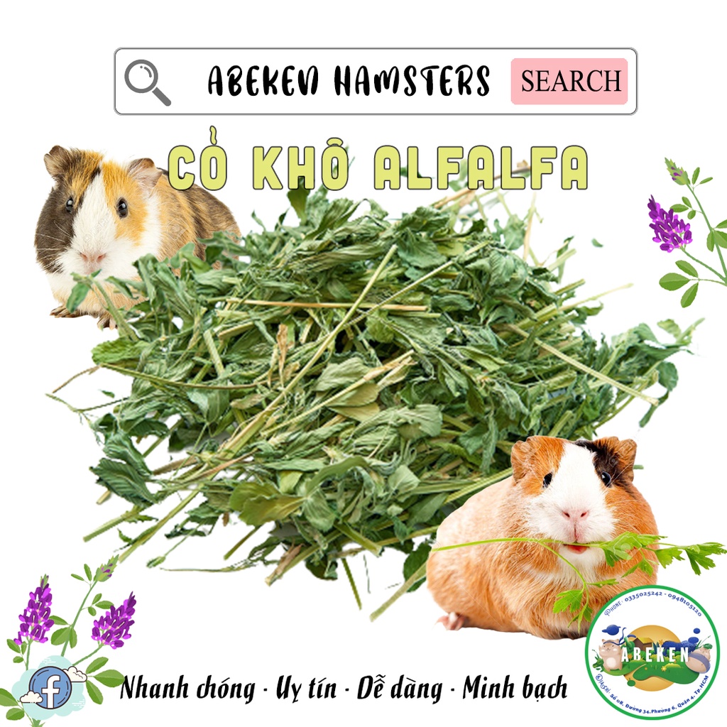 Cỏ khô ALFALFA 1KG dành cho Hamster/ Gerbils/ Thỏ/ Guinea Pig