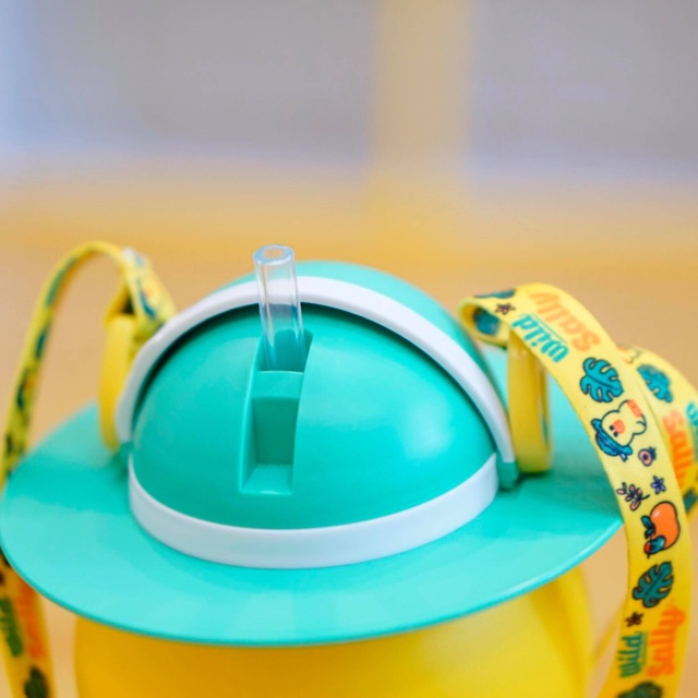 Bình đựng nước Sally - Line Friends