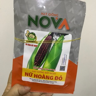 Hạt giống bắp nữ hoàng đỏ