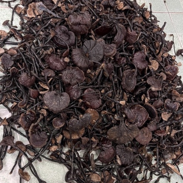 - Nấm Linh Chi Rừng - Hàng Chuẩn 100%