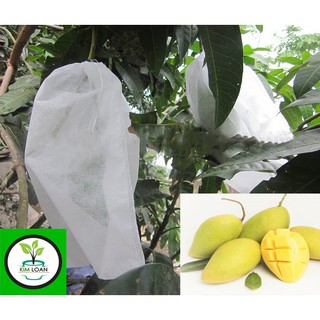(50 cái) Túi bao trái cây, chuyên dùng để bao xoài trái lớn kích thước 22x28cm
