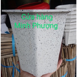 Chậu nhựa bonsai LG cao đá trắng 170 x 190 (Rộng x cao)